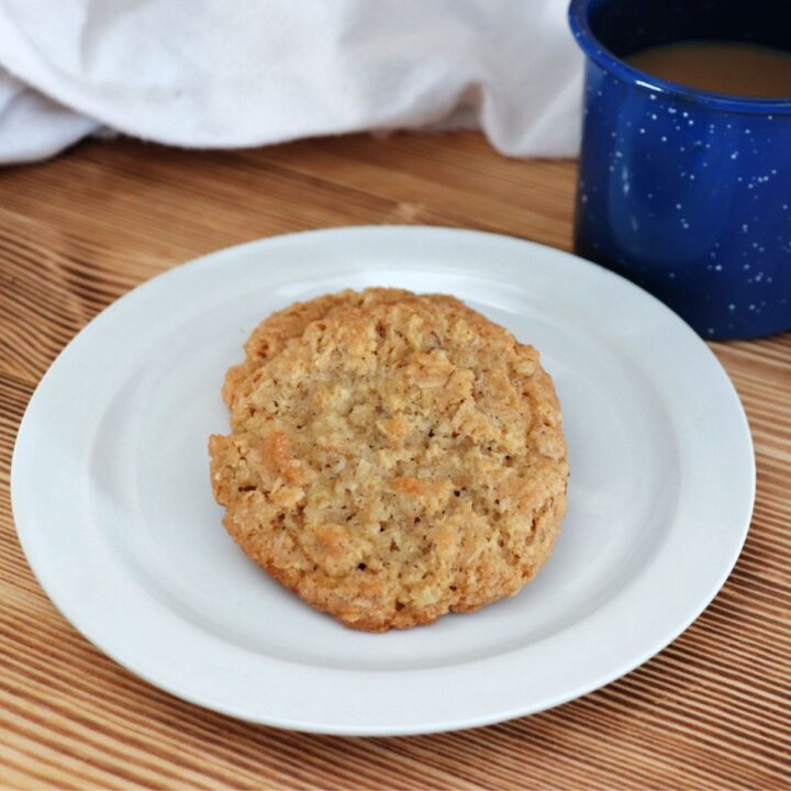 A cookie on a plate with a blue tin coffee cup and napkin in the background.